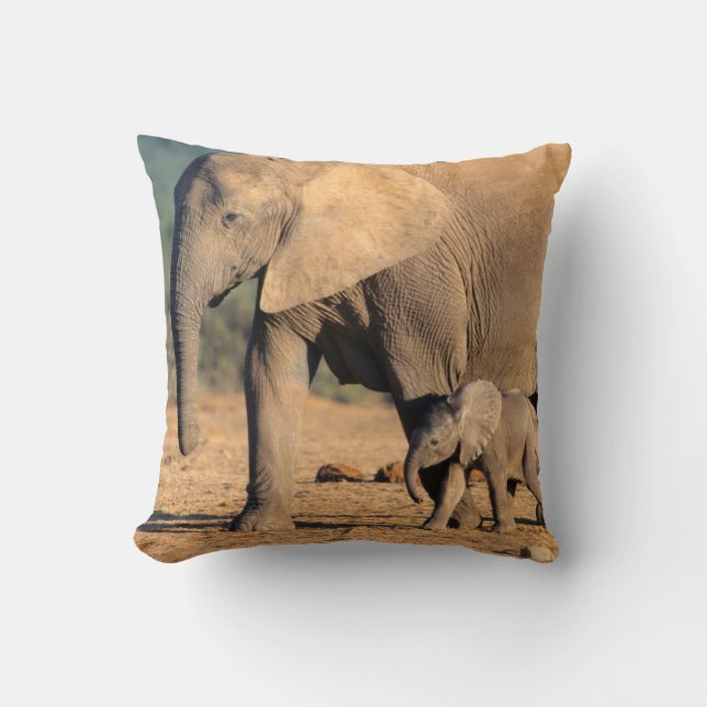 Coussin Une mère éléphant d'Afrique et son petit en déplac (Recto)