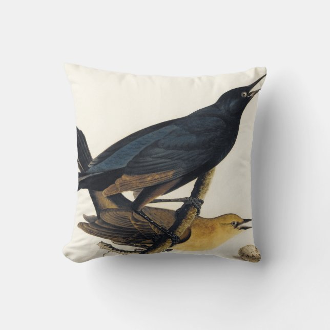 Coussin Une paire de Grackles Bateau-Coupé la queue (Recto)