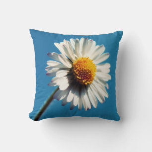 Coussin Une pâtisserie blanche sous un ciel bleu