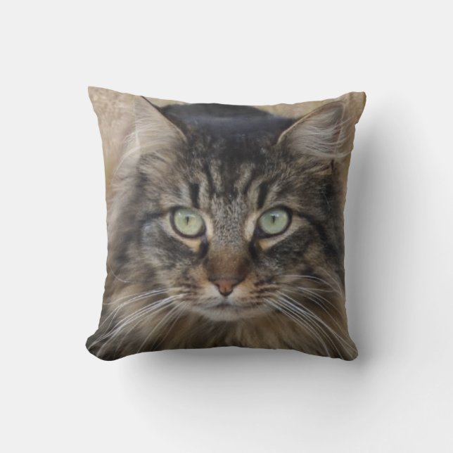 Coussin Une photo d'un chat tigre avec une fourrure mervei (Recto)