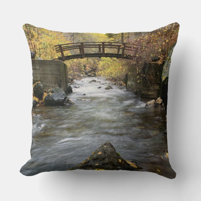 Coussin Une rivière fonctionnant par le canyon américain (Recto)