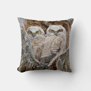 Coussin USA, Wyoming, Grand Teton National Park
