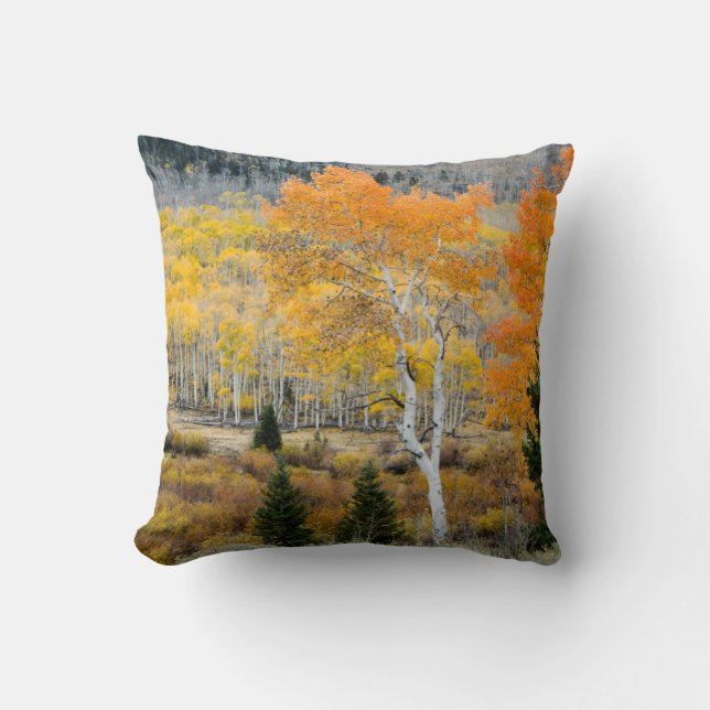 Coussin Utah, États-Unis. Peupliers et fourrés de saules (Recto)