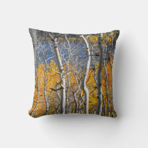 Coussin Utah, États-Unis. Peupliers Trembles (Populus Trem