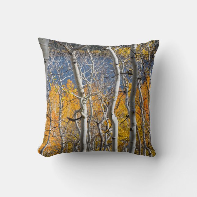 Coussin Utah, États-Unis. Peupliers Trembles (Populus Trem (Recto)