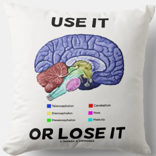 Coussin Utilisez-Le Ou Perdez-Le Anatomique Cerveau Consei