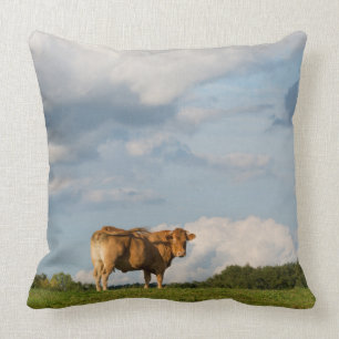 Coussin Vache blonde à d'Aquitaine dans la région de