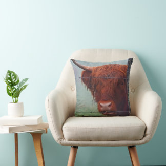 Coussin Vache de Highland mordant une clôture de fil