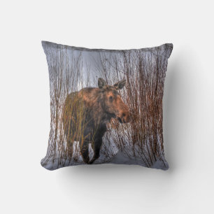 Coussin Vache d'orignal sauvage canadienne en neige hivern