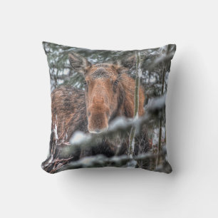 Coussin Vache d'orignal sauvage du Canada en forêt d'hiver