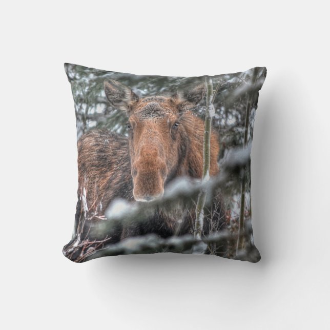 Coussin Vache d'orignal sauvage du Canada en forêt d'hiver (Recto)