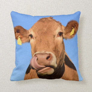Coussin Vache du Jersey léchant son nez