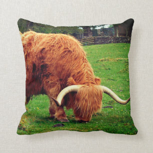 Coussin Vache écossaise des Highlanders