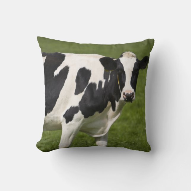 Coussin Vache frisonne (Recto)