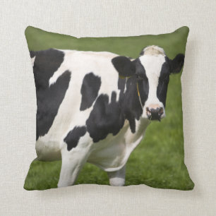Coussin Vache frisonne