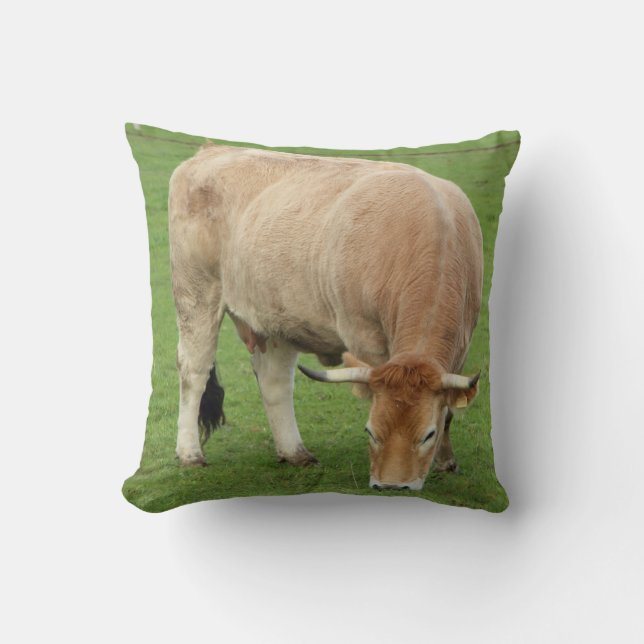 Coussin Vache nantaise dans un champ (Recto)