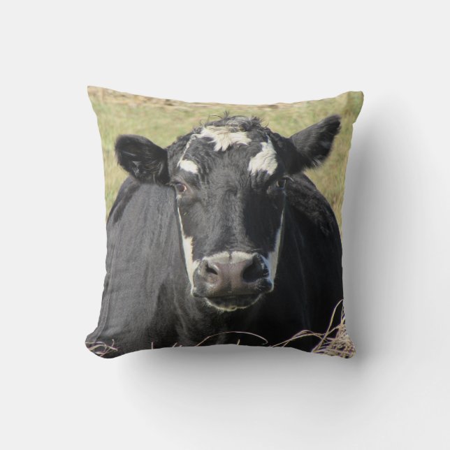 Coussin Vache noire (Recto)