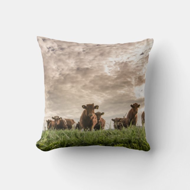 Coussin Vaches (Recto)