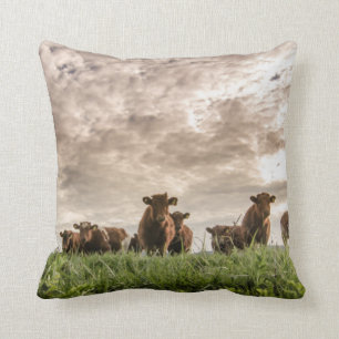 Coussin Vaches