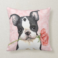 Valentine Rose Boston Terrier