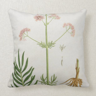 Coussin Valériane de "Phytographie Medicale" par le RO de