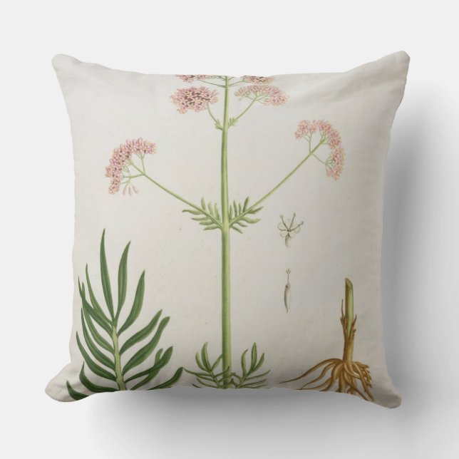 Coussin Valériane de "Phytographie Medicale" par le RO de (Recto)