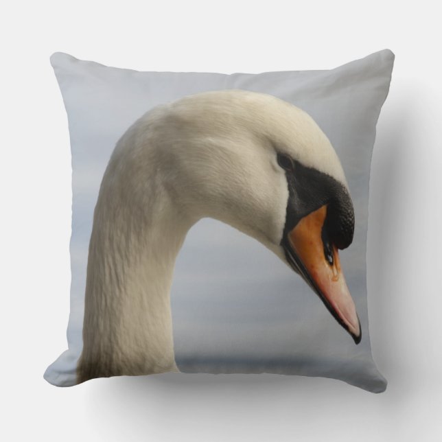 Coussin Vancouver, Parc Stanley, Cygne tuberculé (Cygnus o (Recto)