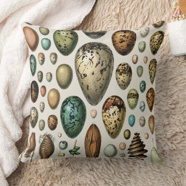 Coussin Various kinds of Egg Scientific Illustration (Couverture)