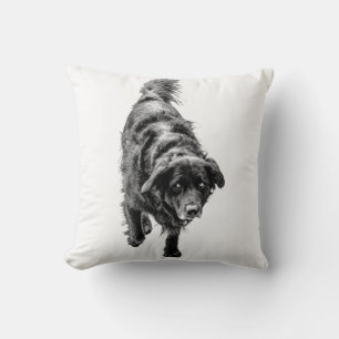 Coussin Veille nocturne d'octobre