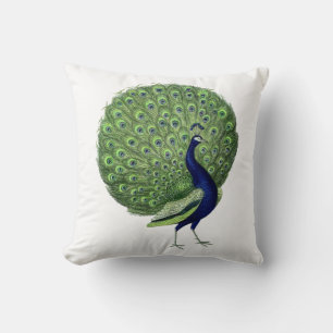 Coussin Ventilateur Open Peacock