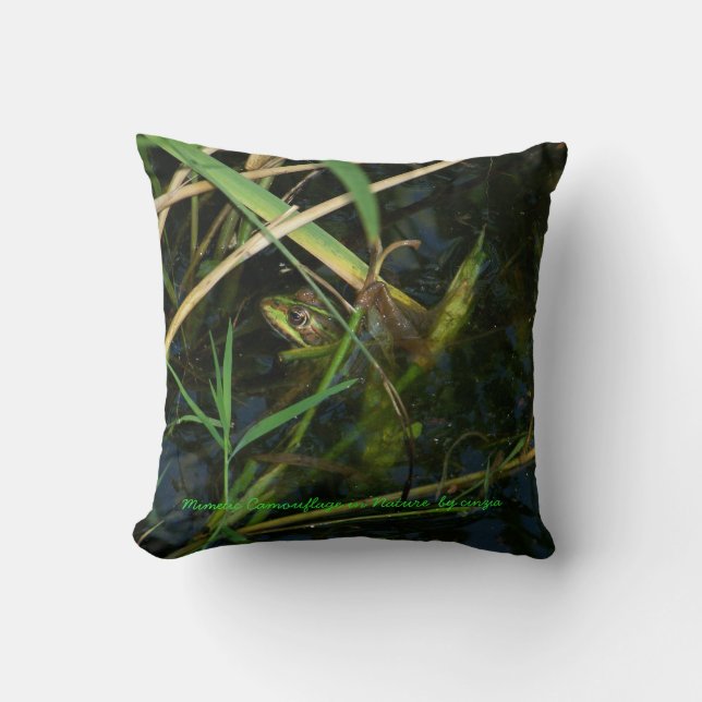 Coussin (vert) avec grenouille mimétique (Recto)