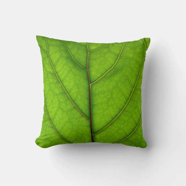 Coussin vert de feuille (Recto)