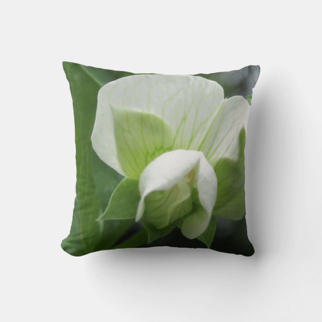 Coussin vert et blanc ~ photo haute résolution ori (Recto)