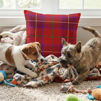 Coussin Vibrant Scottish Plaid - Rose Clan Tartan