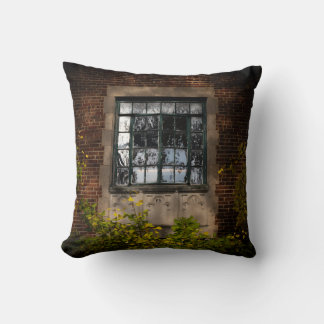 Coussin Vieille Fenêtre