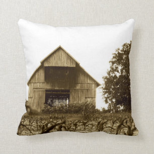 Coussin Vieille grange du Kentucky
