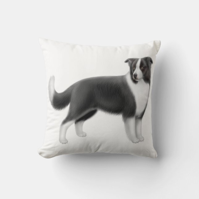 Coussin vigilant de chien de border collie (Recto)