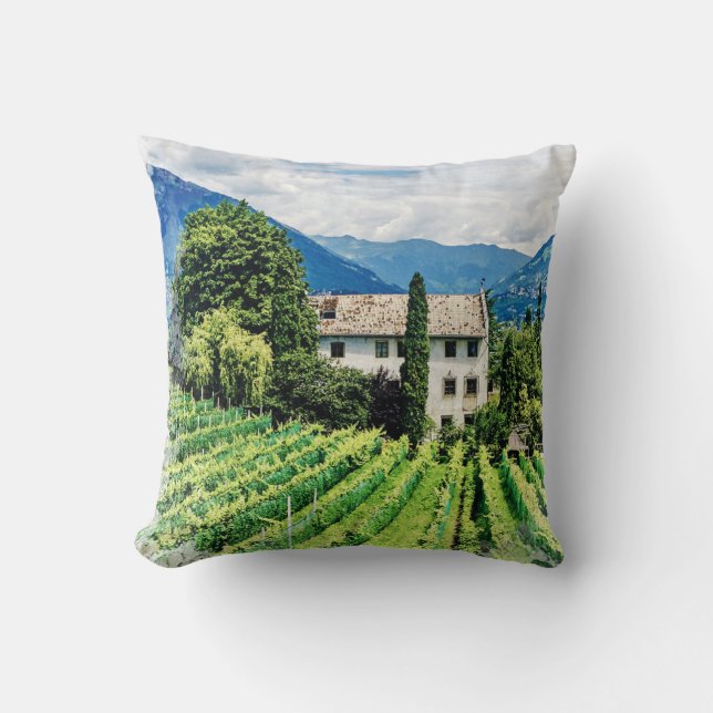 Coussin *~* Vignoble toscan Vignoble Toscan Vino Mountains (Recto)