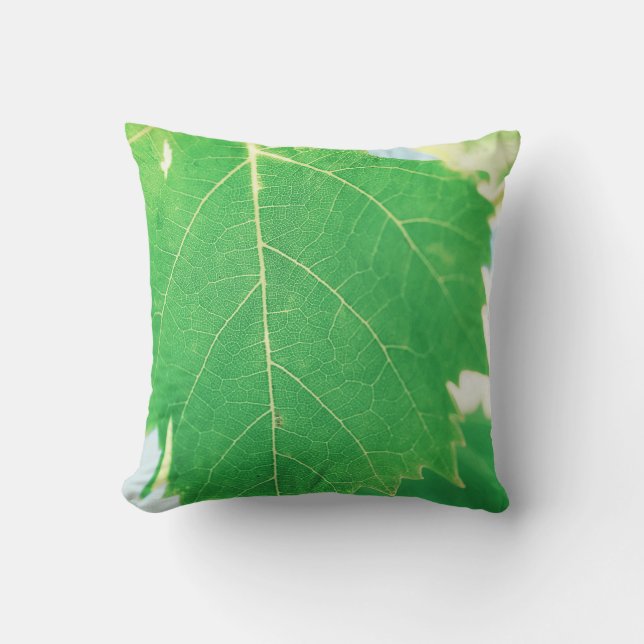 Coussin Vine verte Feuille bleue Ciel Ciel Ciel Focus Cous (Recto)