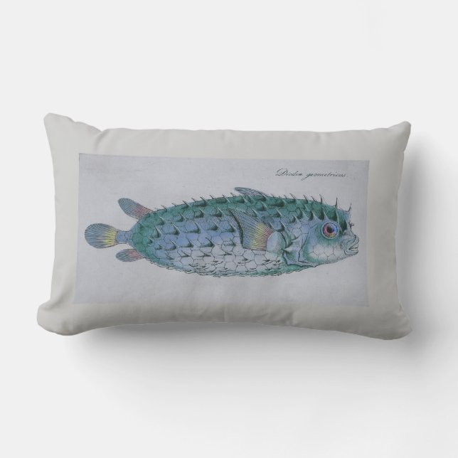 coussin vintage de poissons de décolleur (Recto)