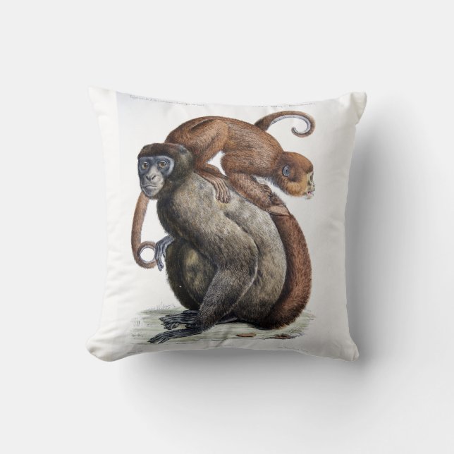 Coussin vintage de singes (Recto)