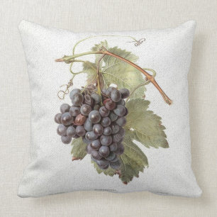 Coussin vintage d'image de raisin