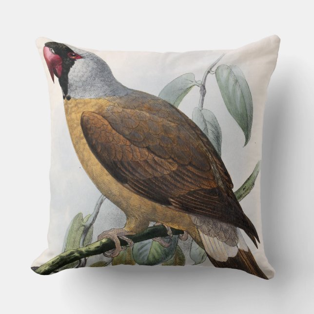 Coussin Vintage John Keulemans Mascarene Parrot (Recto)