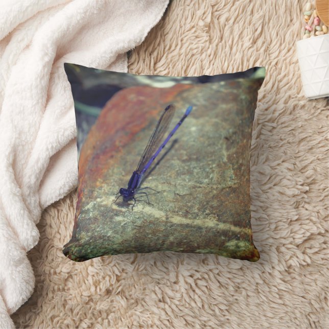 Coussin Violet Damselfly Poser sur Rock haut (Couverture)