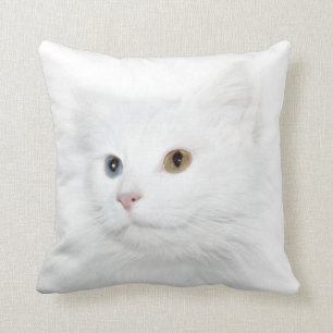 Coussin Visage blanc observé impair de chat