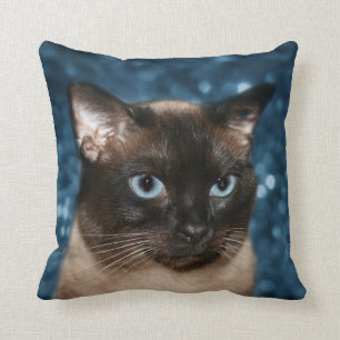 Coussin Visage de chat siamois