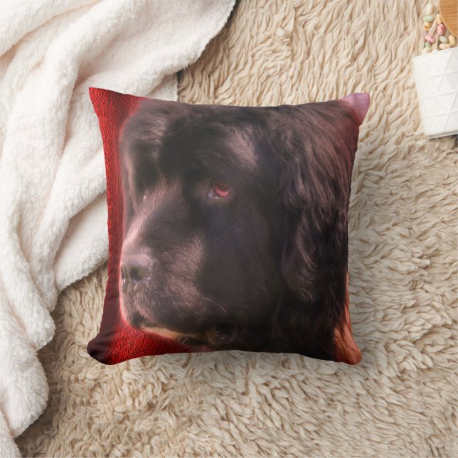 Coussin Visage de chien noir et blanc de Terre-Neuve   (Couverture)