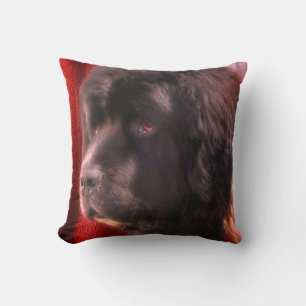 Coussin Visage de chien noir et blanc de Terre-Neuve