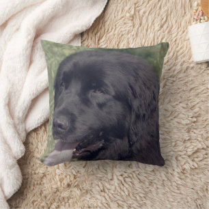 Coussin Visage de chien Terre-Neuve noir