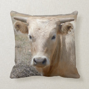 Coussin Visage occidental mignon de vache du charolais